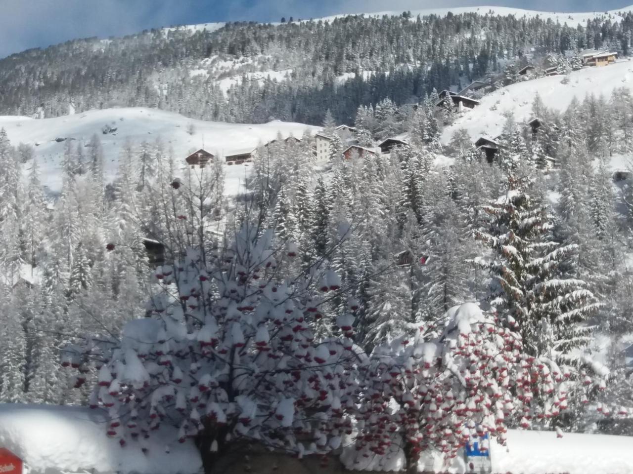 Hotel Piz Ela Bergun 다보스 외부 사진